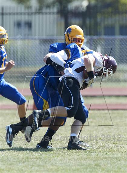 Thumbnail 3 in Orchard Park @ Lockport photogallery.