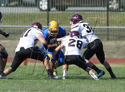 Thumbnail 3 in Orchard Park @ Lockport photogallery.