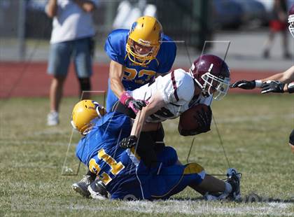 Thumbnail 1 in Orchard Park @ Lockport photogallery.