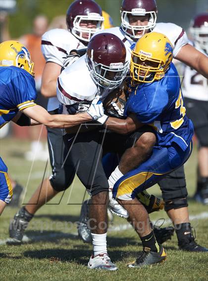 Thumbnail 3 in Orchard Park @ Lockport photogallery.