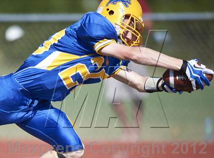 Thumbnail 3 in Orchard Park @ Lockport photogallery.