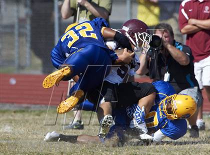 Thumbnail 1 in Orchard Park @ Lockport photogallery.