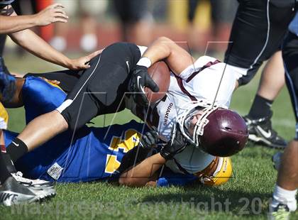 Thumbnail 2 in Orchard Park @ Lockport photogallery.