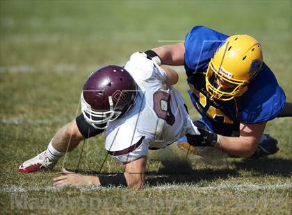 Thumbnail 2 in Orchard Park @ Lockport photogallery.