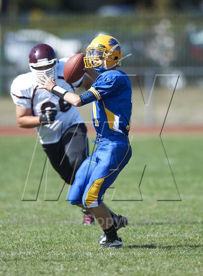 Thumbnail 2 in Orchard Park @ Lockport photogallery.