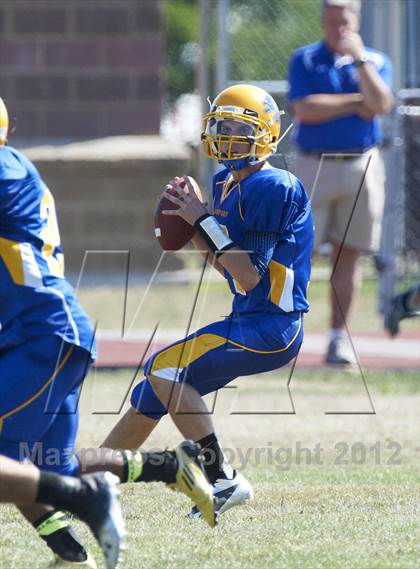 Thumbnail 1 in Orchard Park @ Lockport photogallery.