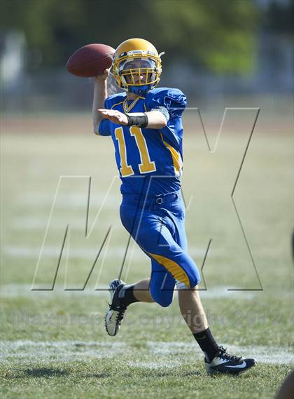 Thumbnail 1 in Orchard Park @ Lockport photogallery.