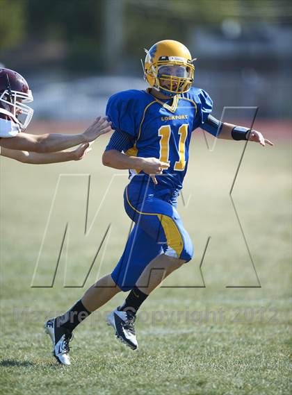 Thumbnail 2 in Orchard Park @ Lockport photogallery.