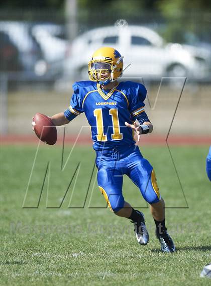 Thumbnail 3 in Orchard Park @ Lockport photogallery.