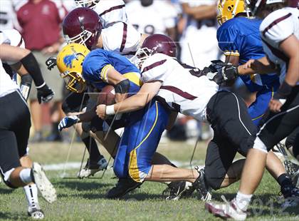 Thumbnail 1 in Orchard Park @ Lockport photogallery.