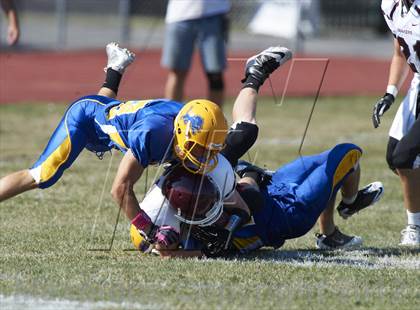 Thumbnail 3 in Orchard Park @ Lockport photogallery.