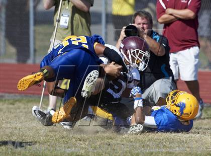 Thumbnail 2 in Orchard Park @ Lockport photogallery.