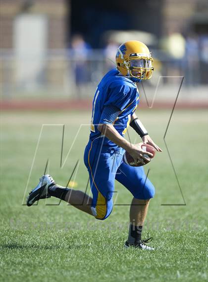 Thumbnail 1 in Orchard Park @ Lockport photogallery.