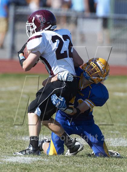 Thumbnail 1 in Orchard Park @ Lockport photogallery.