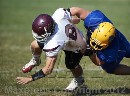 Thumbnail 1 in Orchard Park @ Lockport photogallery.