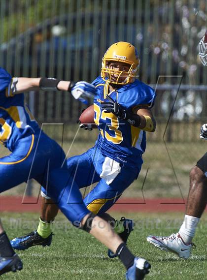 Thumbnail 1 in Orchard Park @ Lockport photogallery.