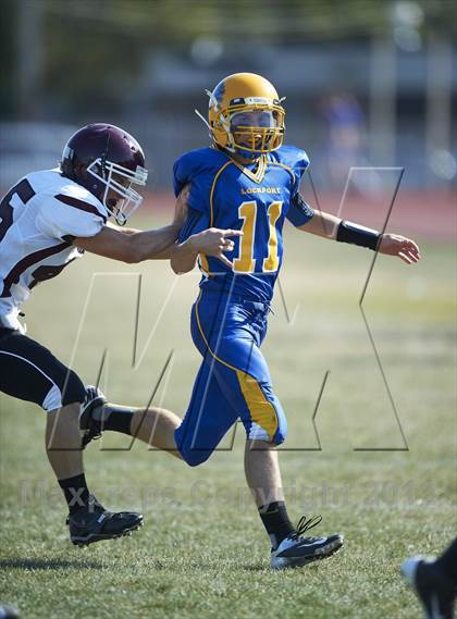 Thumbnail 3 in Orchard Park @ Lockport photogallery.