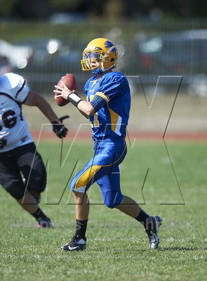 Thumbnail 1 in Orchard Park @ Lockport photogallery.