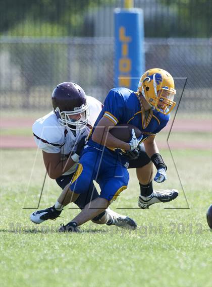 Thumbnail 2 in Orchard Park @ Lockport photogallery.