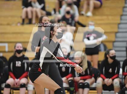 Thumbnail 3 in Pomona @ Arvada West photogallery.