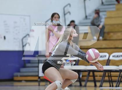 Thumbnail 3 in Pomona @ Arvada West photogallery.