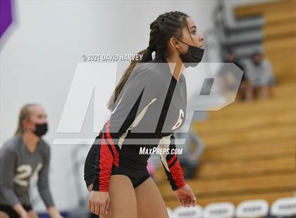 Thumbnail 3 in Pomona @ Arvada West photogallery.