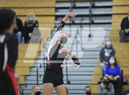 Thumbnail 3 in Pomona @ Arvada West photogallery.