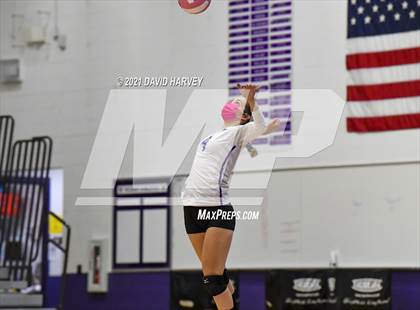 Thumbnail 1 in Pomona @ Arvada West photogallery.