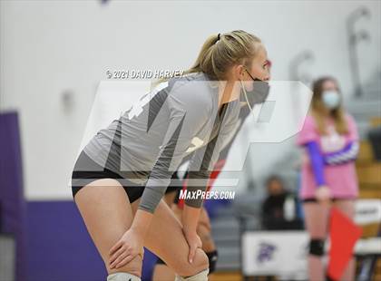 Thumbnail 3 in Pomona @ Arvada West photogallery.