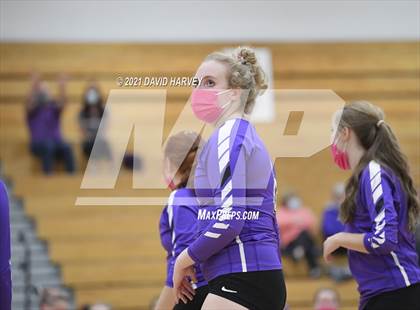Thumbnail 3 in Pomona @ Arvada West photogallery.