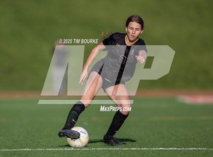Thumbnail 3 in Bellevue West vs. Omaha Westside photogallery.