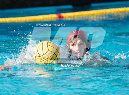 Thumbnail 2 in Santa Ana @ Tustin photogallery.