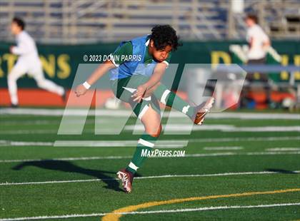 Thumbnail 3 in Upland @ Damien photogallery.