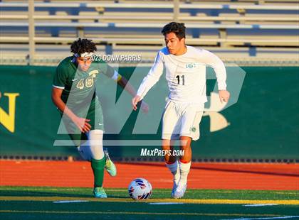 Thumbnail 3 in Upland @ Damien photogallery.