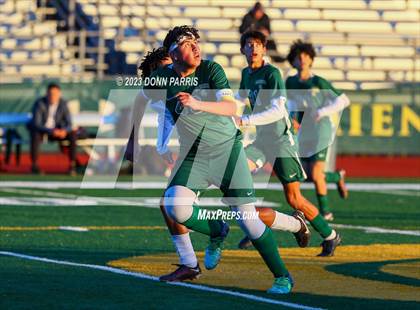 Thumbnail 1 in Upland @ Damien photogallery.