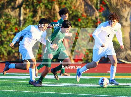 Thumbnail 1 in Upland @ Damien photogallery.