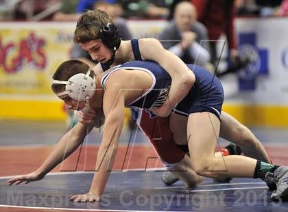Thumbnail 1 in PIAA AA Wrestling Championships (Quarterfinals) photogallery.