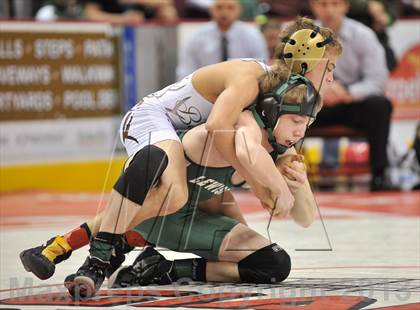 Thumbnail 3 in PIAA AA Wrestling Championships (Quarterfinals) photogallery.