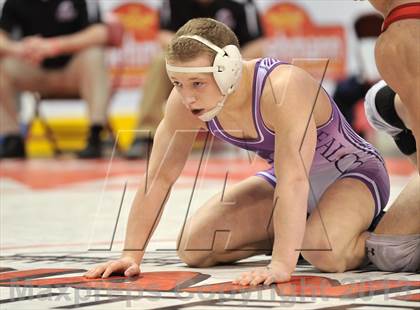 Thumbnail 3 in PIAA AA Wrestling Championships (Quarterfinals) photogallery.
