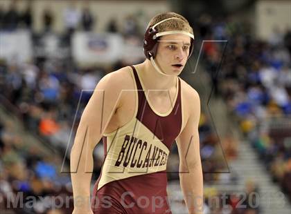 Thumbnail 2 in PIAA AA Wrestling Championships (Quarterfinals) photogallery.