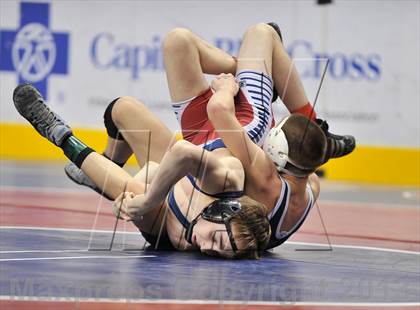 Thumbnail 2 in PIAA AA Wrestling Championships (Quarterfinals) photogallery.