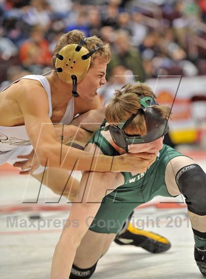 Thumbnail 2 in PIAA AA Wrestling Championships (Quarterfinals) photogallery.