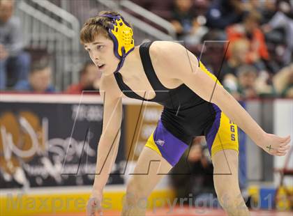 Thumbnail 2 in PIAA AA Wrestling Championships (Quarterfinals) photogallery.