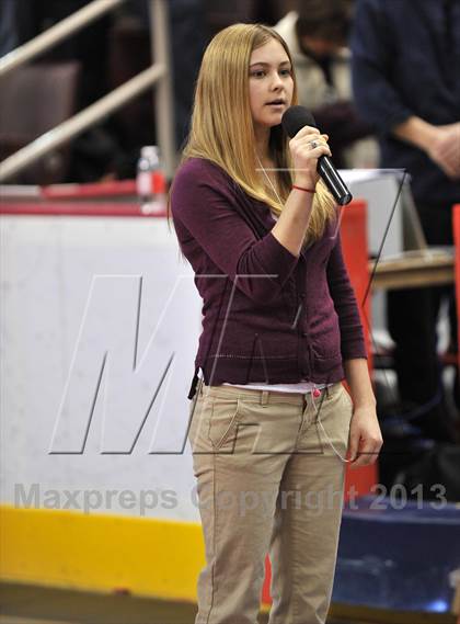 Thumbnail 2 in PIAA AA Wrestling Championships (Quarterfinals) photogallery.