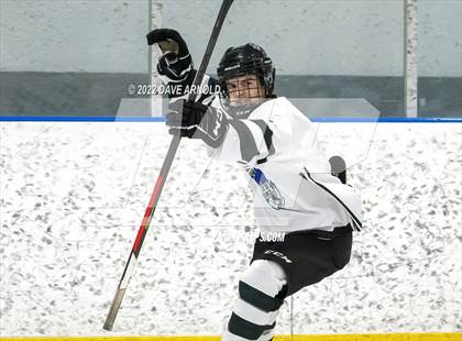Thumbnail 2 in York @ Cheverus/Yarmouth photogallery.
