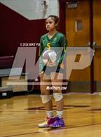 Photo from the gallery "Pine Forest @ Harnett Central"