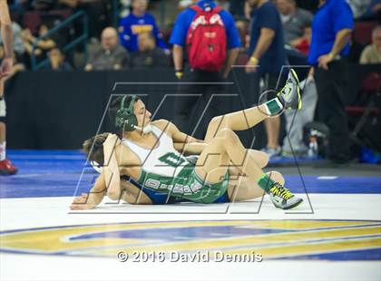 Thumbnail 2 in CIF State Boys Wrestling Championships (Semfinals) photogallery.