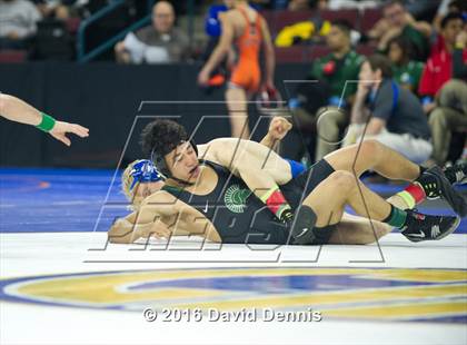 Thumbnail 2 in CIF State Boys Wrestling Championships (Semfinals) photogallery.