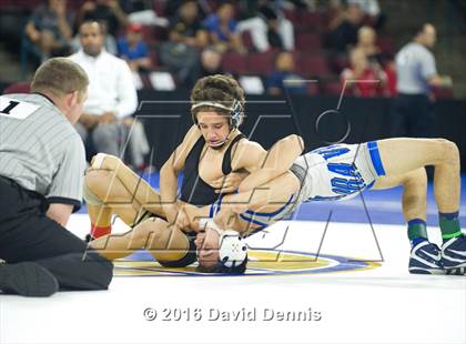 Thumbnail 2 in CIF State Boys Wrestling Championships (Semfinals) photogallery.