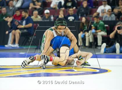 Thumbnail 2 in CIF State Boys Wrestling Championships (Semfinals) photogallery.